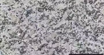 清远 芙蓉白（芝麻白大花）火烧面