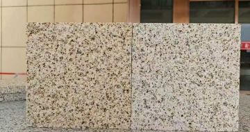 清远 黄金麻荔枝面，中黄与浅黄