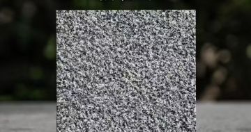 清远 芝麻黑荔枝面