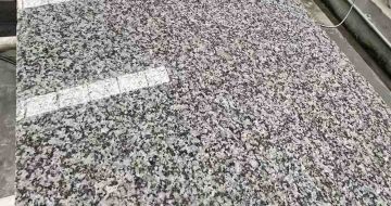 清远 芙蓉白光面