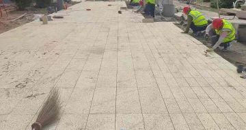 清远黄金麻荔枝面地铺案例