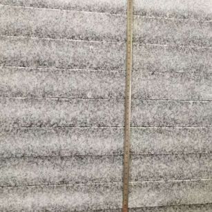 清远 芝麻白成品厚薄均匀