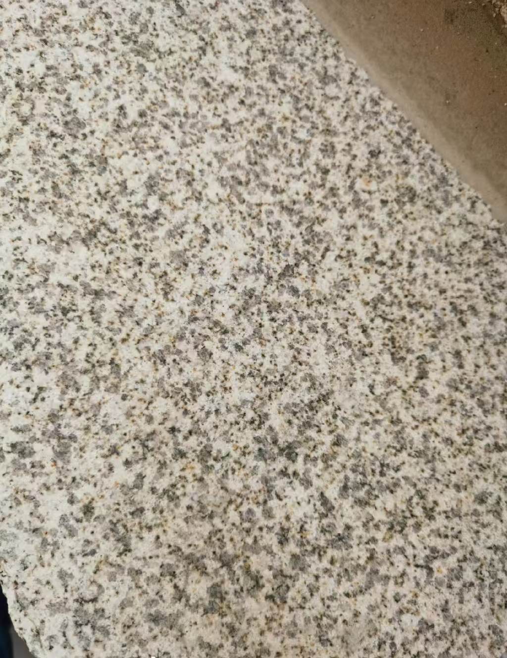 清远 黄金麻中黄光面