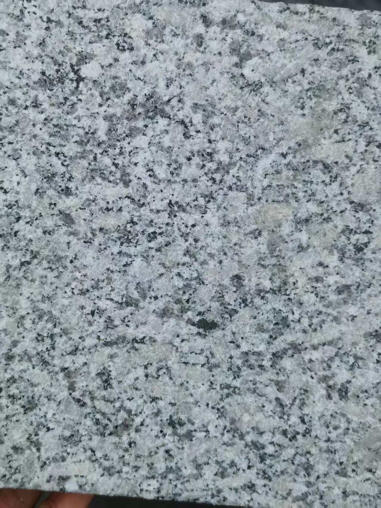 清远 芙蓉白火烧面