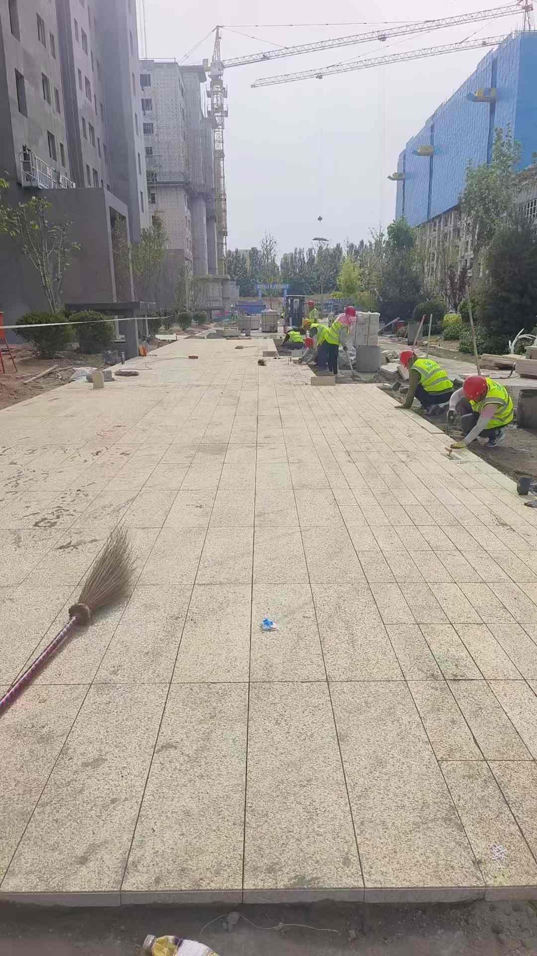 清远黄金麻荔枝面地铺案例
