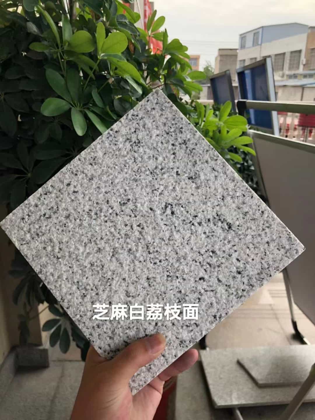 清远 芝麻白荔枝面干挂