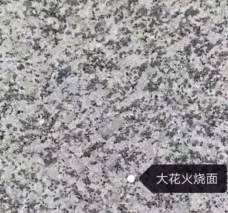 清远 芙蓉白（芝麻白大花）火烧面